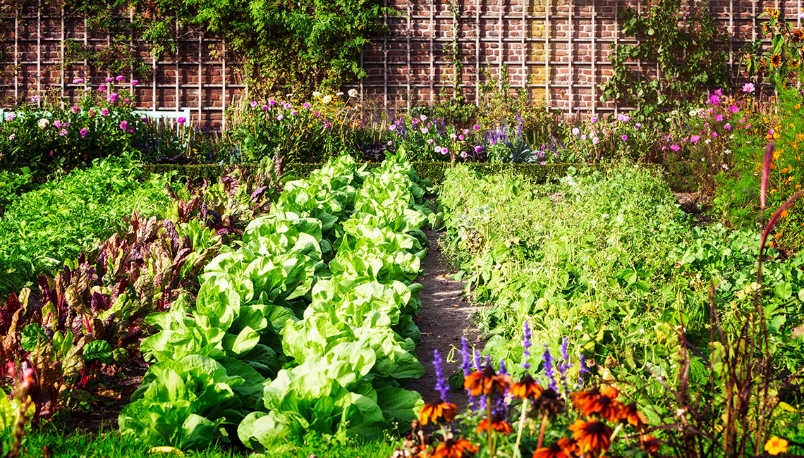 garden_full.jpg