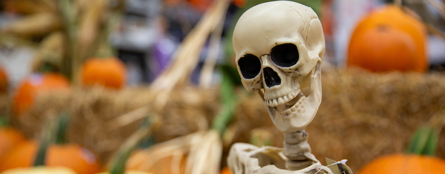 Halloween Skeleton