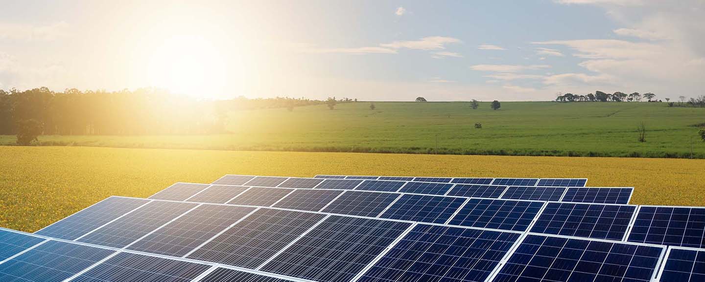 Solar Farm