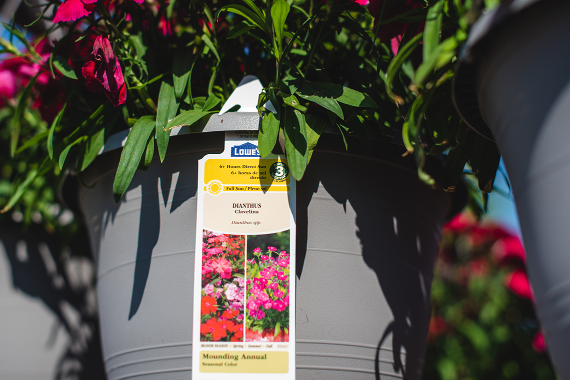 GardenersGuide_Full2.jpg
