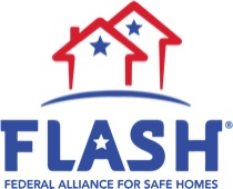 Flash Icon 4