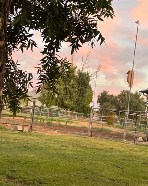 Arizona