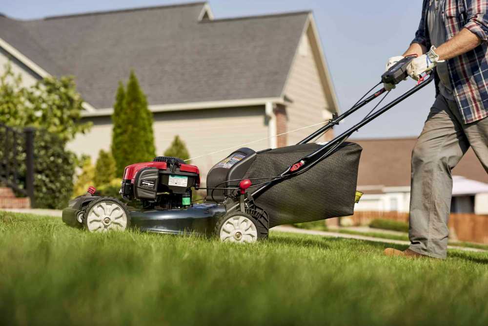 North American lawn owners 