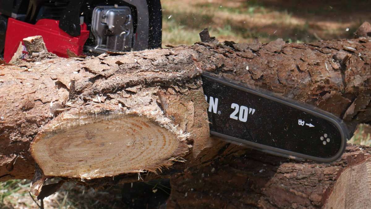Chainsaw in action