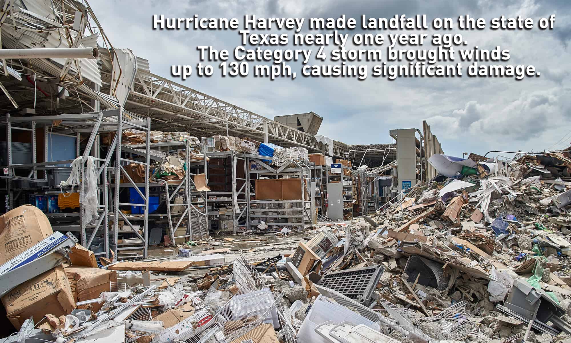 harvey-1.jpg