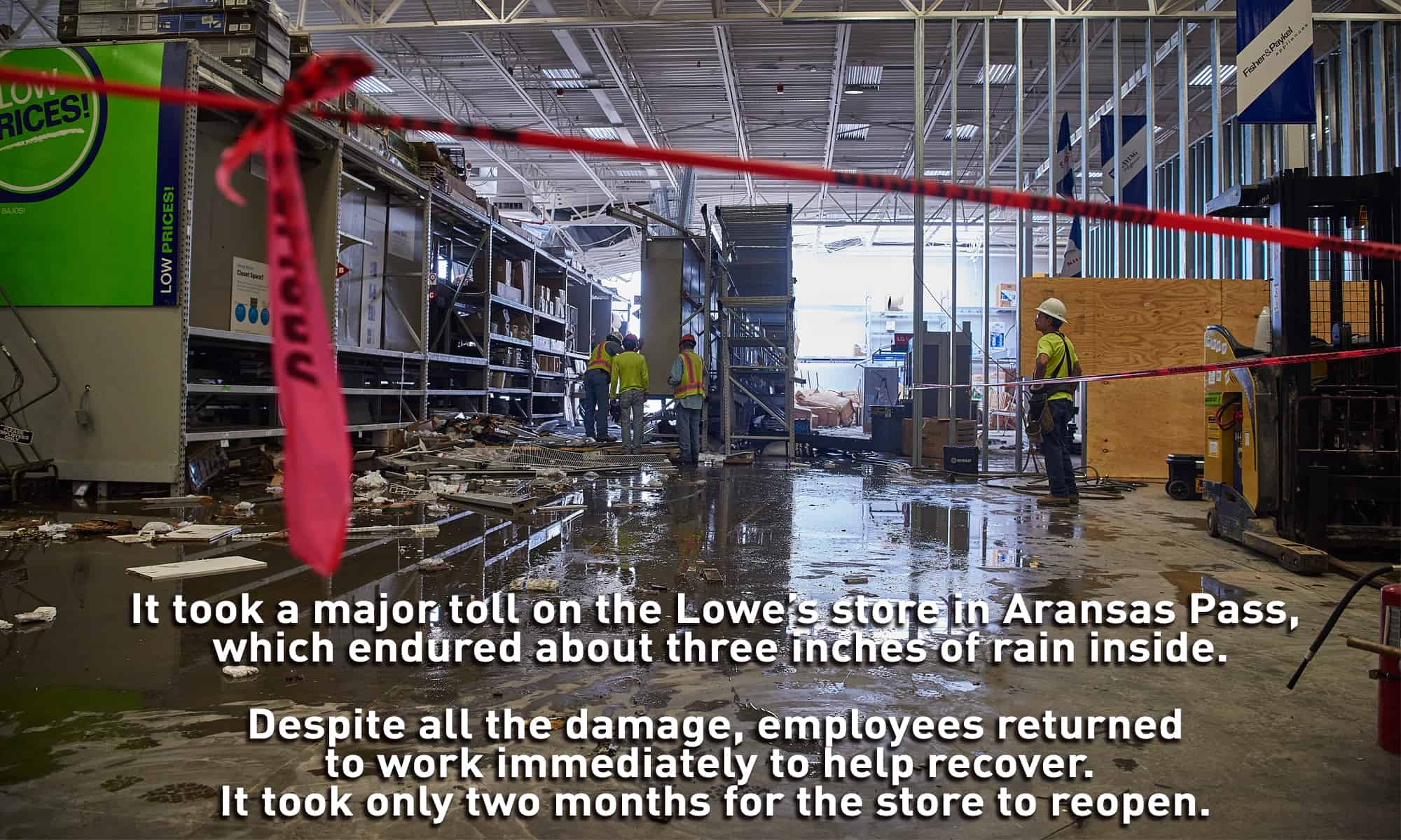 harvey-2.jpg