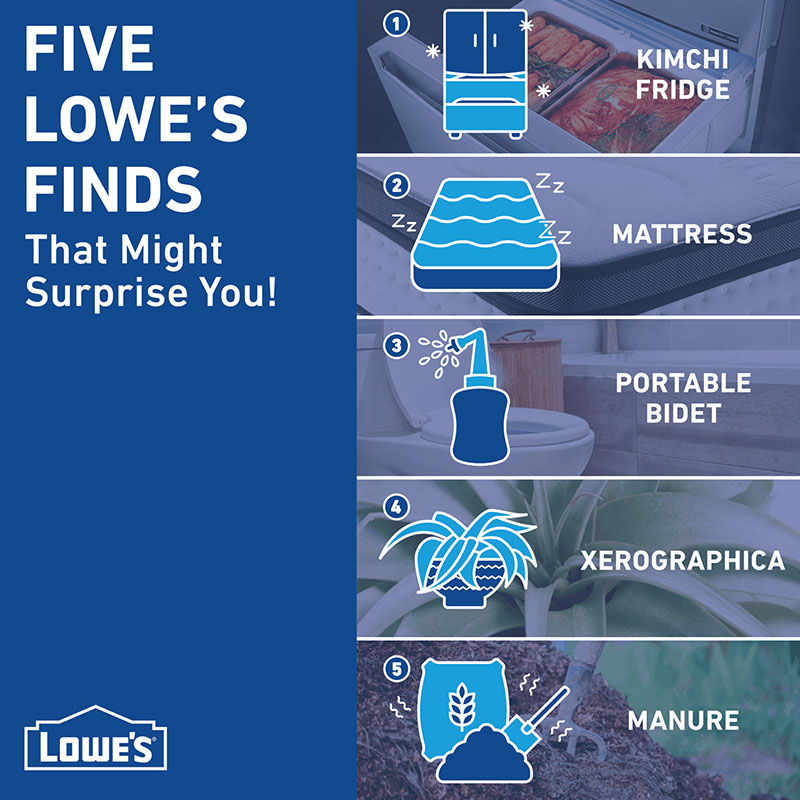 5-unique-items