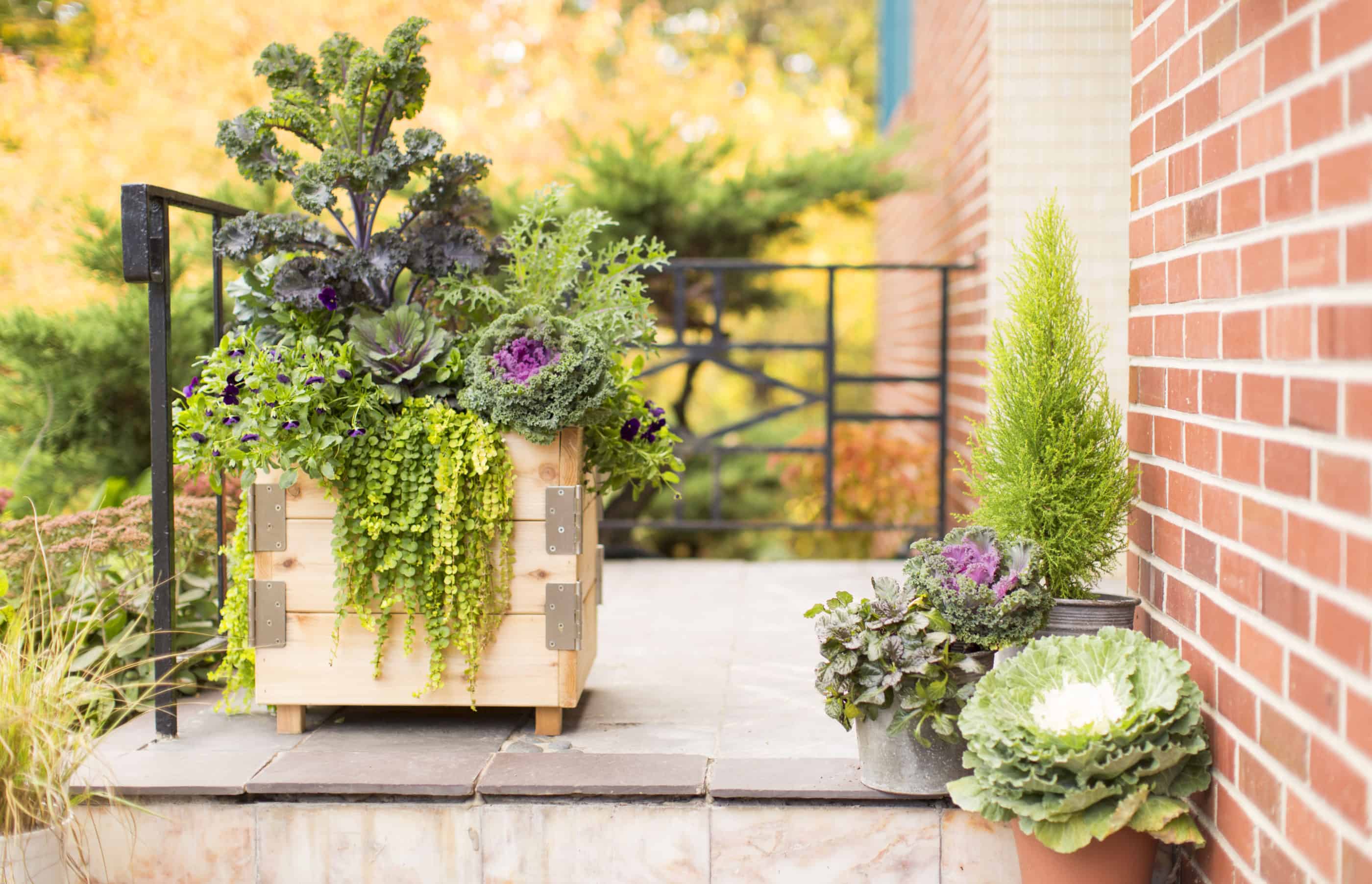 Porch-Planter