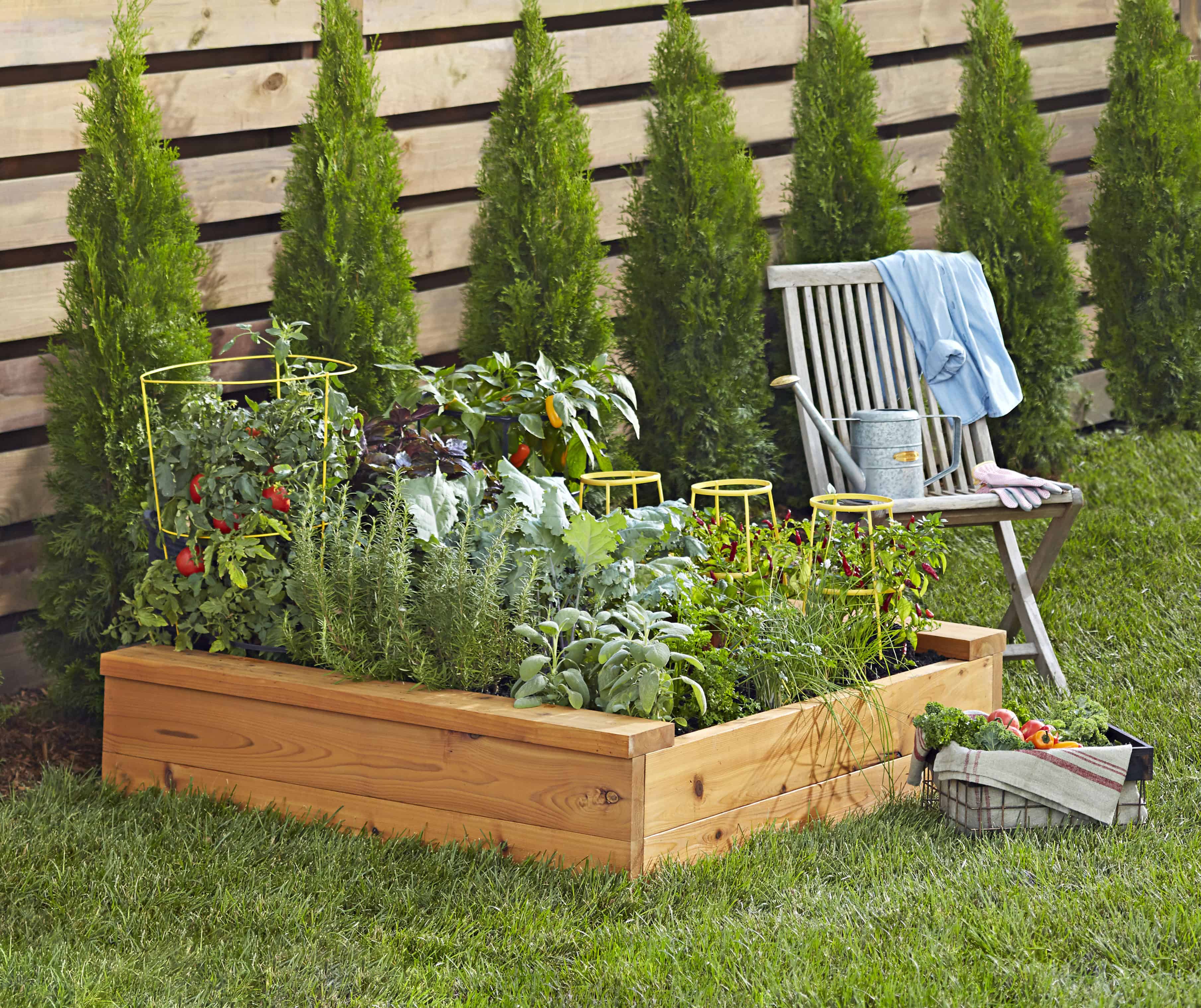 Raised-Garden-Bed_Lifestyle