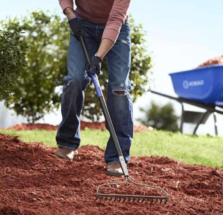 Raking-Seed