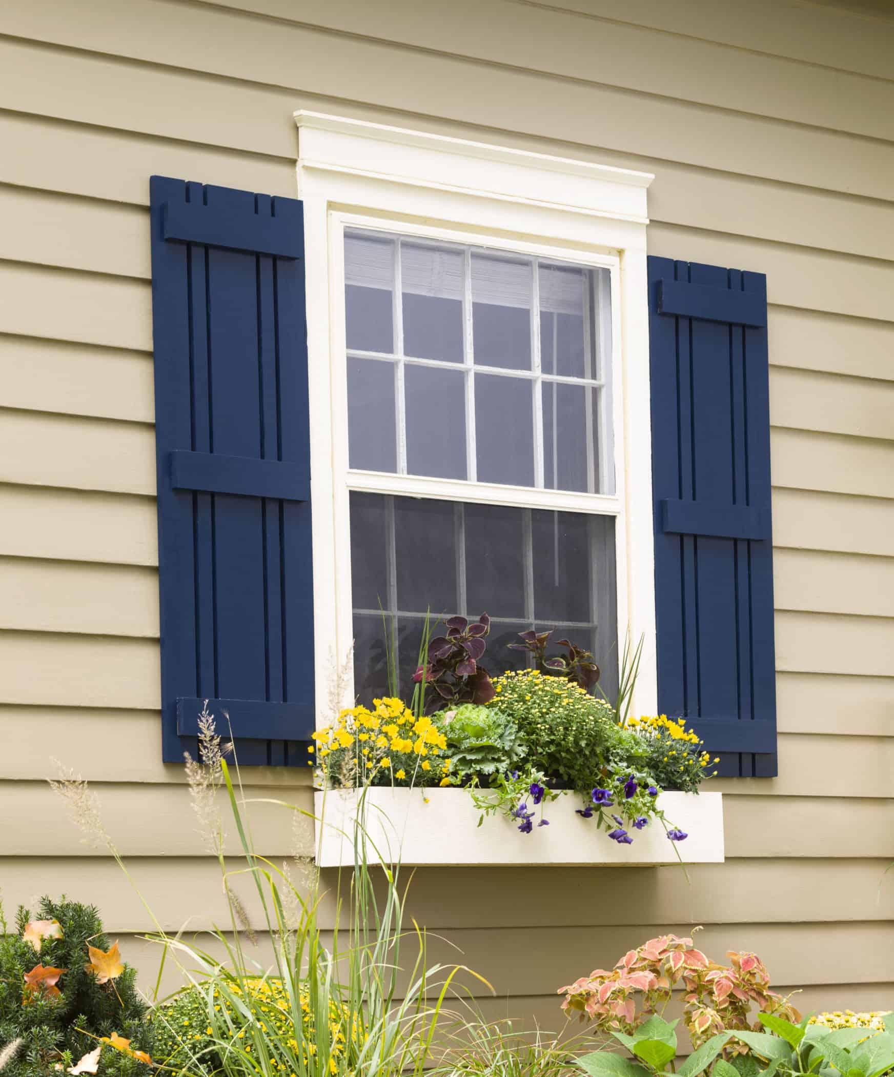 Window-Shutters