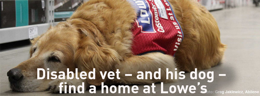 Disable vet