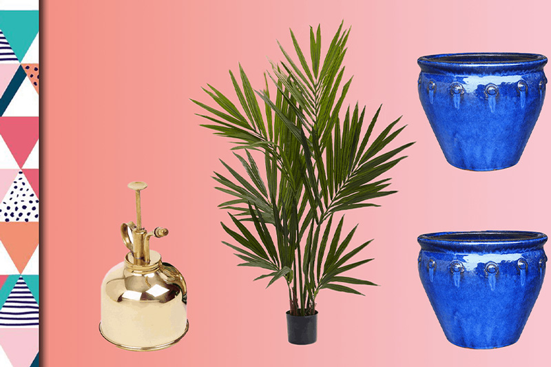 plant-lover