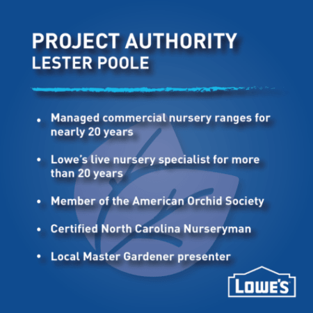 project-authority-lester-