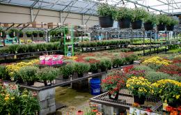 Committed to the climate: Lowe’s to set Science Based Net-Zero target in 2022